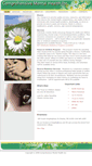 Mobile Screenshot of cmhsi.com